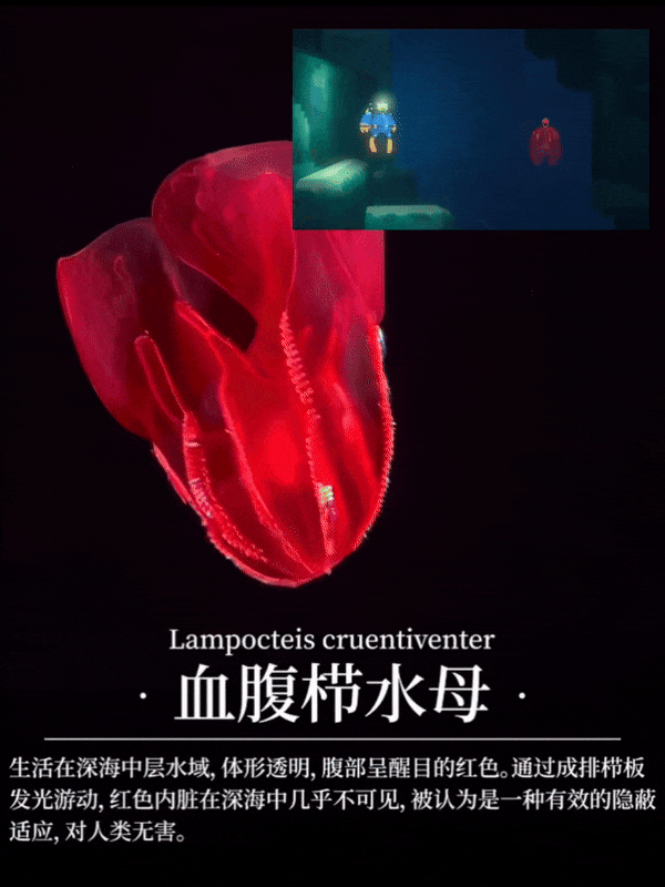 【爆笑】“冬天能把人逼疯到什么程度？”哈哈哈哈哈哈哈哈哈哈这届网友别太牛（组图） - 79