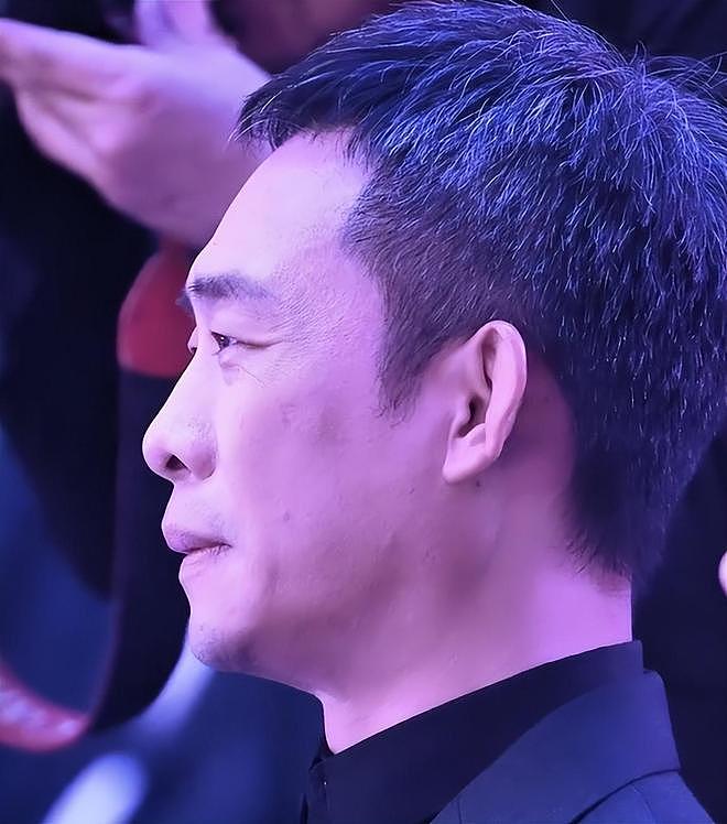 央视镜头，张译白发多，章子怡肿了，马丽又胖了，海清咋长这样了（组图） - 2