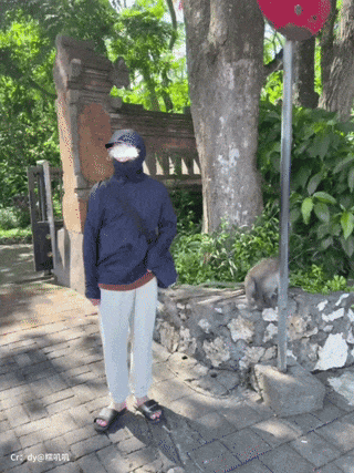 【爆笑】“冬天能把人逼疯到什么程度？”哈哈哈哈哈哈哈哈哈哈这届网友别太牛（组图） - 16