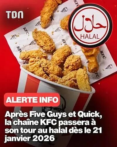 法国KFC要转型了?24家门店率先开卖“清真炸鸡”,立刻被骂上热搜(组图) - 9