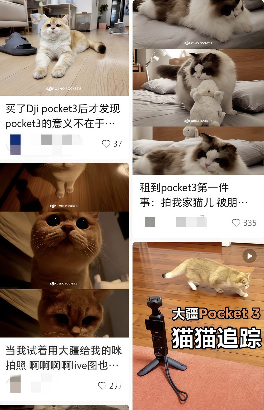 这届年轻人,爱上用Pocket 3存档家庭时刻(组图) - 8