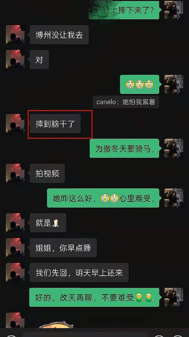 疑贺娇龙司机透露去世细节！摔到脑干，怕司机劳累让其提前休息（组图） - 4