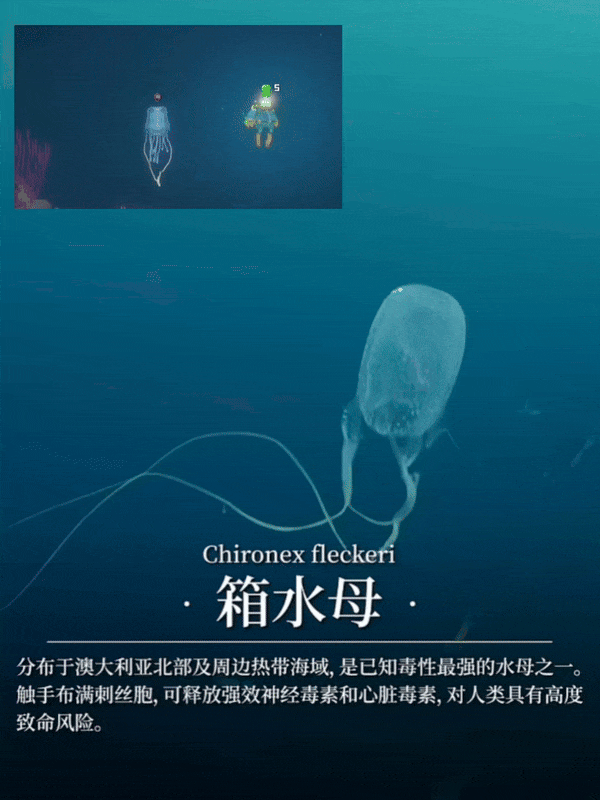 【爆笑】“冬天能把人逼疯到什么程度？”哈哈哈哈哈哈哈哈哈哈这届网友别太牛（组图） - 77