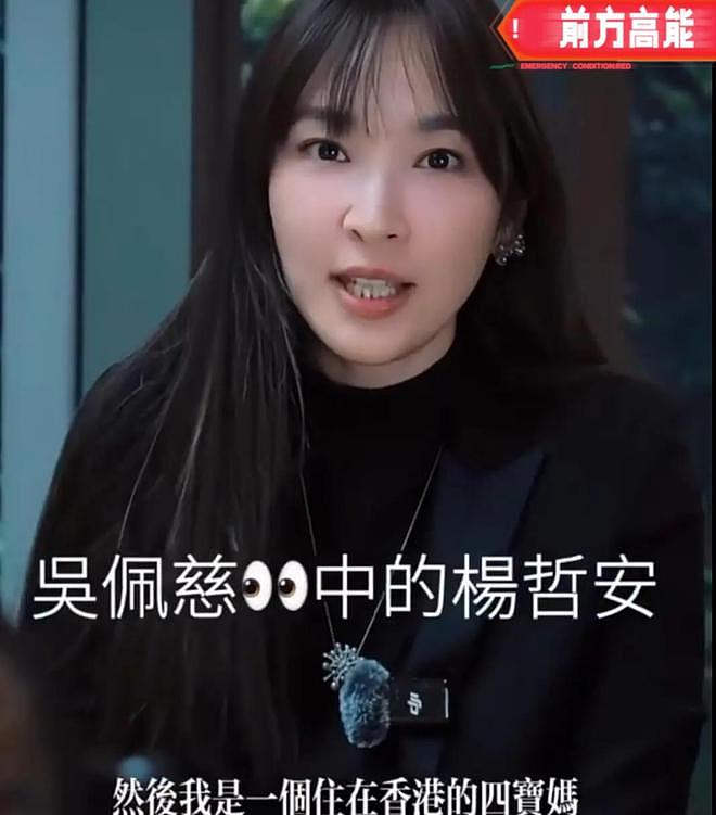 吴佩慈准婆婆崔丽杰的赌命人生：从东北仓管员到百亿流水女富豪（组图） - 16