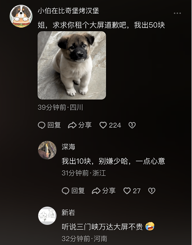 举报老公出轨高颜妻子被判公开道歉15天，日更视频边道歉边爆料全网催更（组图） - 11