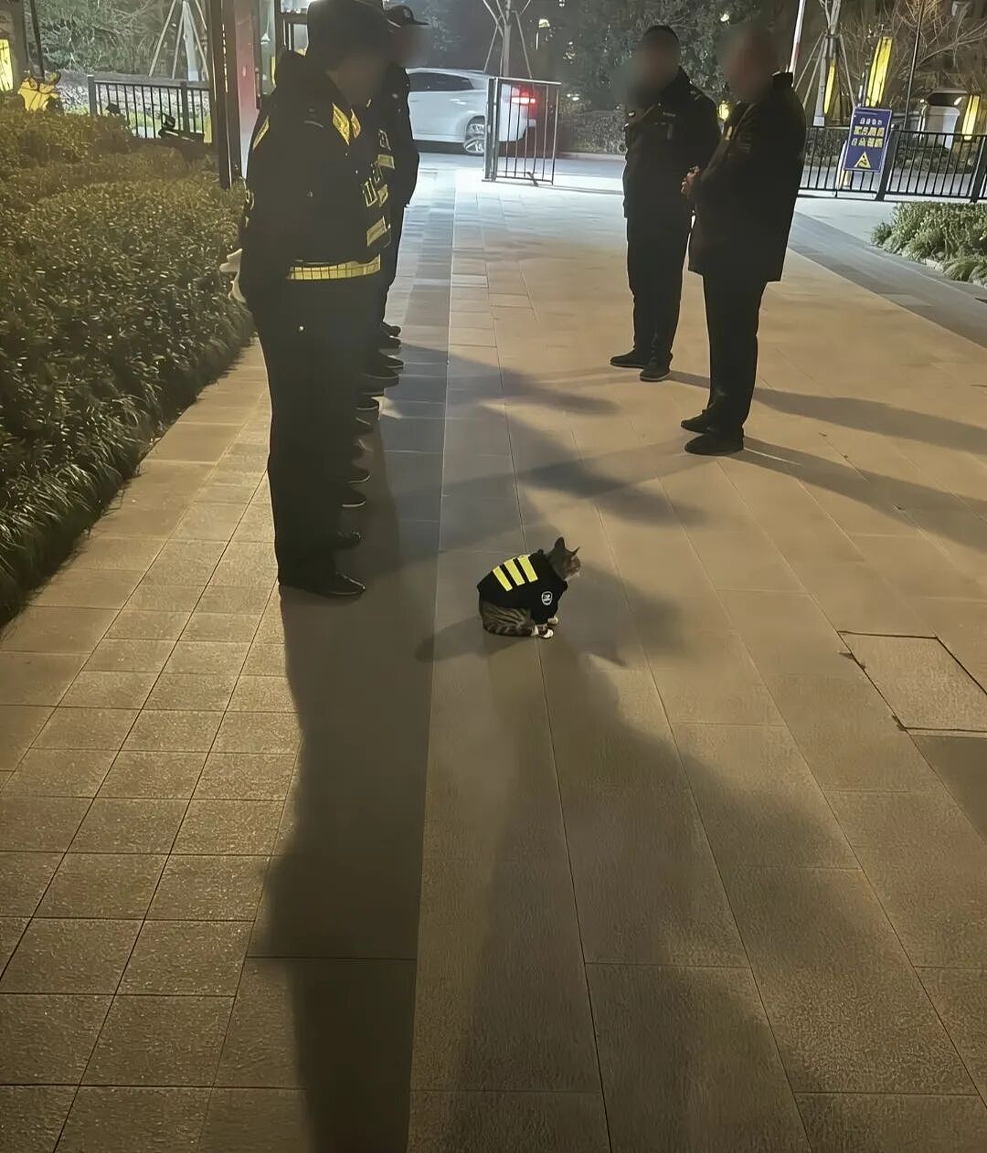 【爆笑】“和同事说话千万要小心啊！”哈哈哈哈哈哈这篓子捅太大了......（组图） - 41