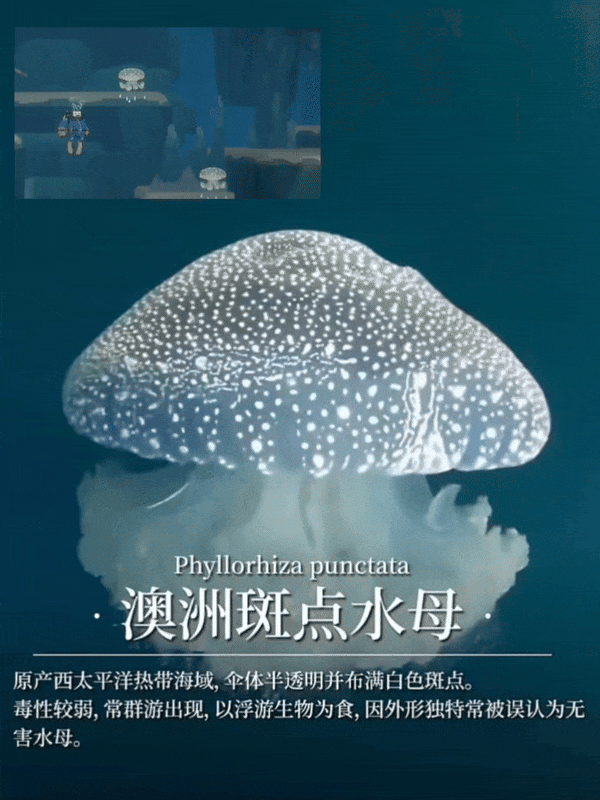【爆笑】“冬天能把人逼疯到什么程度？”哈哈哈哈哈哈哈哈哈哈这届网友别太牛（组图） - 76