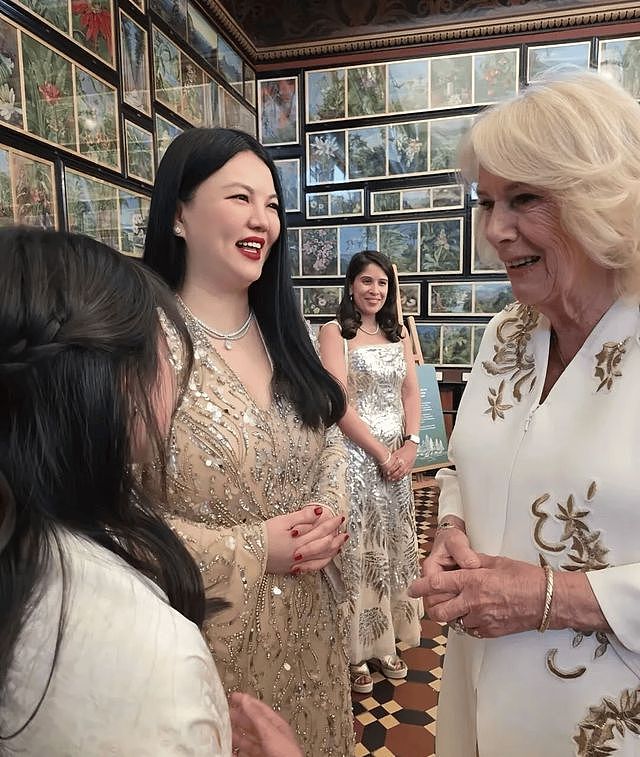 被全网禁关后，李湘的连锁反应来了！王诗龄身份遭质疑，前夫被抓（组图） - 13