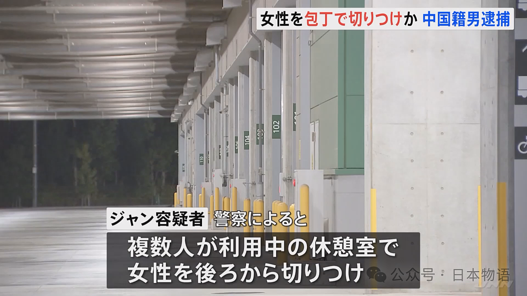 34岁中国男子在日本用菜刀砍伤一男一女！日本网友：又来了…（组图） - 10