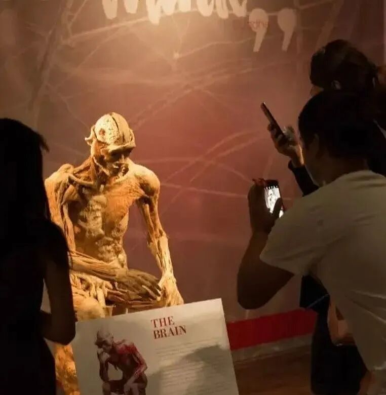 一场展览，母亲竟发现“儿子”遗体成了展品，由此牵扯出一桩离奇死亡案（组图） - 5