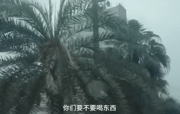 和百亿富三代分手两年后，阿Sa官宣小10岁鲜肉男友！网友：富豪哪有弟弟香……（组图） - 32