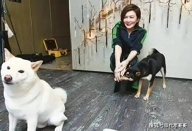 63岁关之琳近况曝光！住1.5亿半山风水豪宅（组图） - 4