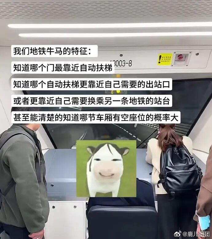 【爆笑】男朋友家庭条件不好，说婚礼让我出一半的钱可以吗？我该怎么办？（组图） - 9