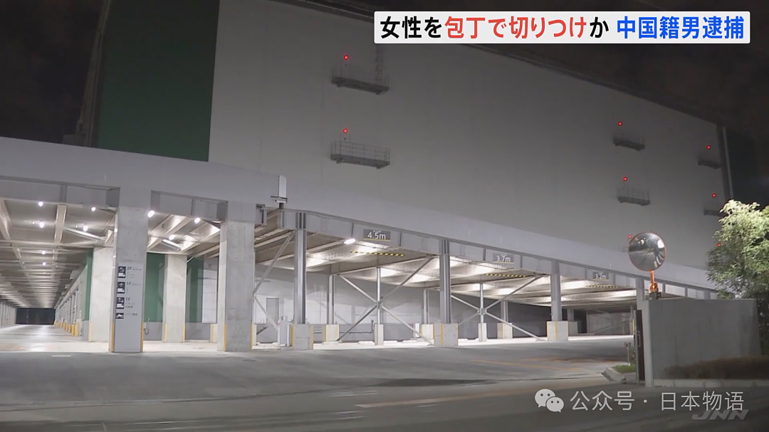 34岁中国男子在日本用菜刀砍伤一男一女！日本网友：又来了…（组图） - 8
