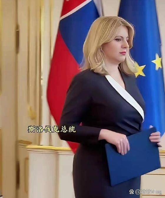 她应该是世界上最美的女总统了(组图) - 1