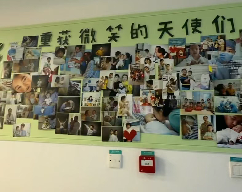 “给李亚鹏捐款”突然火了！大量网友涌入，捐款已超1400万元！二三十名儿童正在接受治疗，房东最新回应（组图） - 3