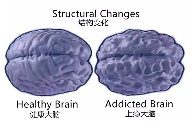 章泽天,这次说了句大实话(组图) - 9