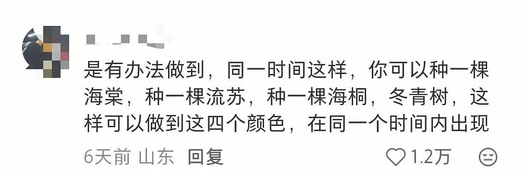 【爆笑】“公司发出倒闭通知后紧急撤回了？”哈哈哈，直接跑路吧，还结什么工资！（组图） - 59
