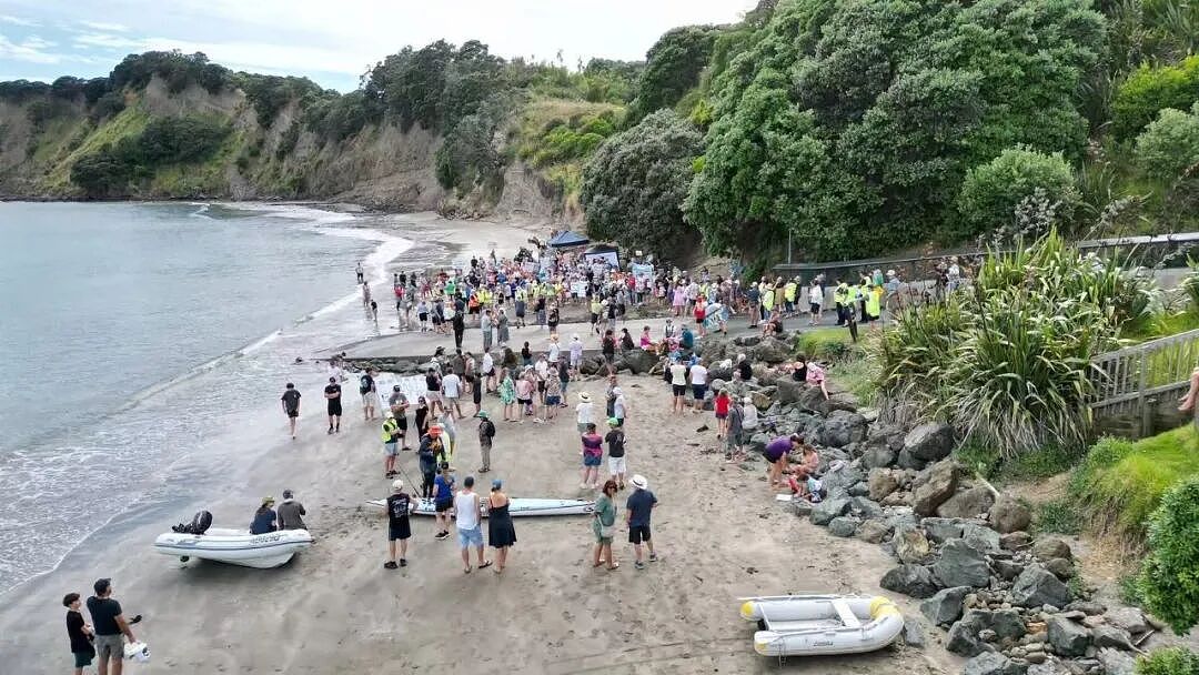 新西兰华人赶海遭大规模抗议！“他们都带着工具，成百上千人捞走海星和贝类！”专家警告生态面临压力（组图） - 3