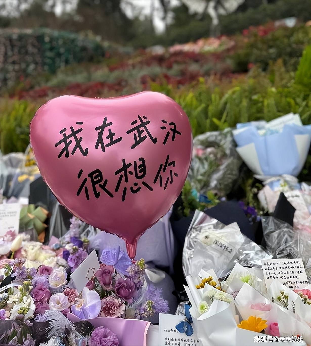 李玟51岁冥诞,墓地成为一片浪漫花海,萧亚轩的粉丝送鲜花(组图) - 13
