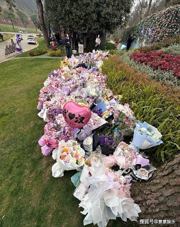 李玟51岁冥诞,墓地成为一片浪漫花海,萧亚轩的粉丝送鲜花(组图) - 6
