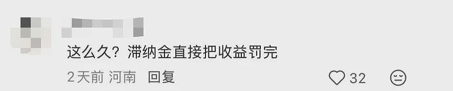 海外华人收入被严查，可追溯至9年前！多名网友接到补税短信（组图） - 6