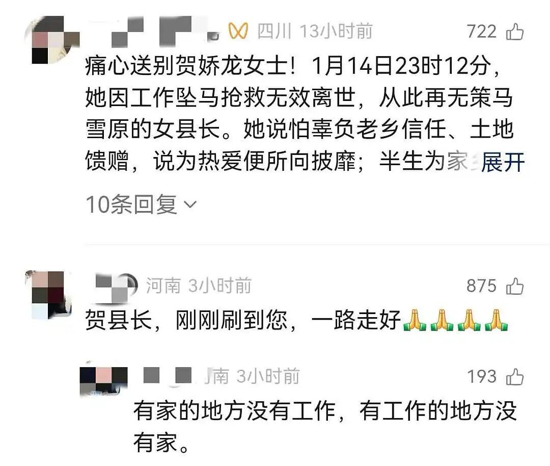 【情感】追忆贺娇龙!曾卖房交100万党费,遗憾错过妈妈每一个生日,将安葬在父亲的身边(组图) - 3
