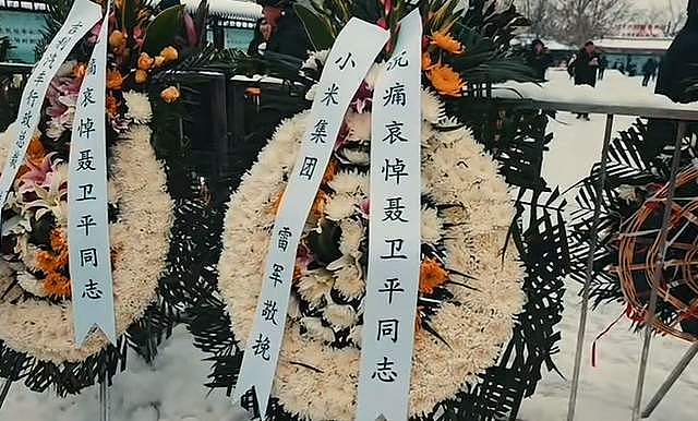 聂卫平追悼会！雷军送花圈悼念，群众冒雪送别，挽联完美总结一生（组图） - 10