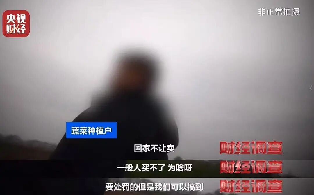 央视曝光湖北菜商违规使用含毒农药，村民：味道大受不了，只有晚上打药，我们基本都不吃（组图） - 7