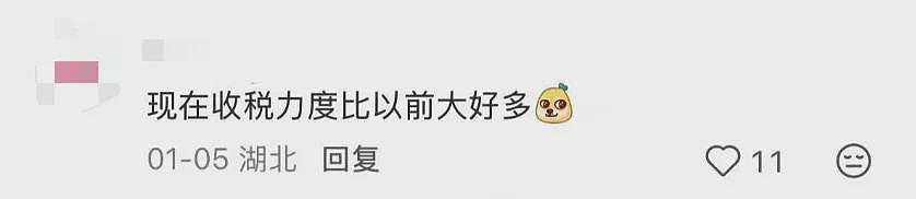 海外华人收入被严查，可追溯至9年前！多名网友接到补税短信（组图） - 8