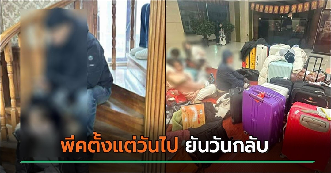 “中国游避雷贴”疯传！16名泰国游客遭“遗弃”，导游直接跑路，涉事旅行社回应（组图） - 10