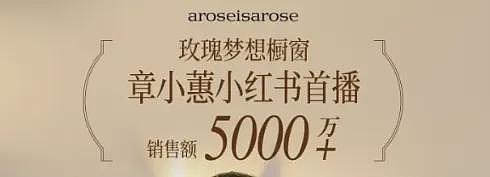 贵妇集体爱上当主持？为什么名媛访谈频频“翻车”（组图） - 16