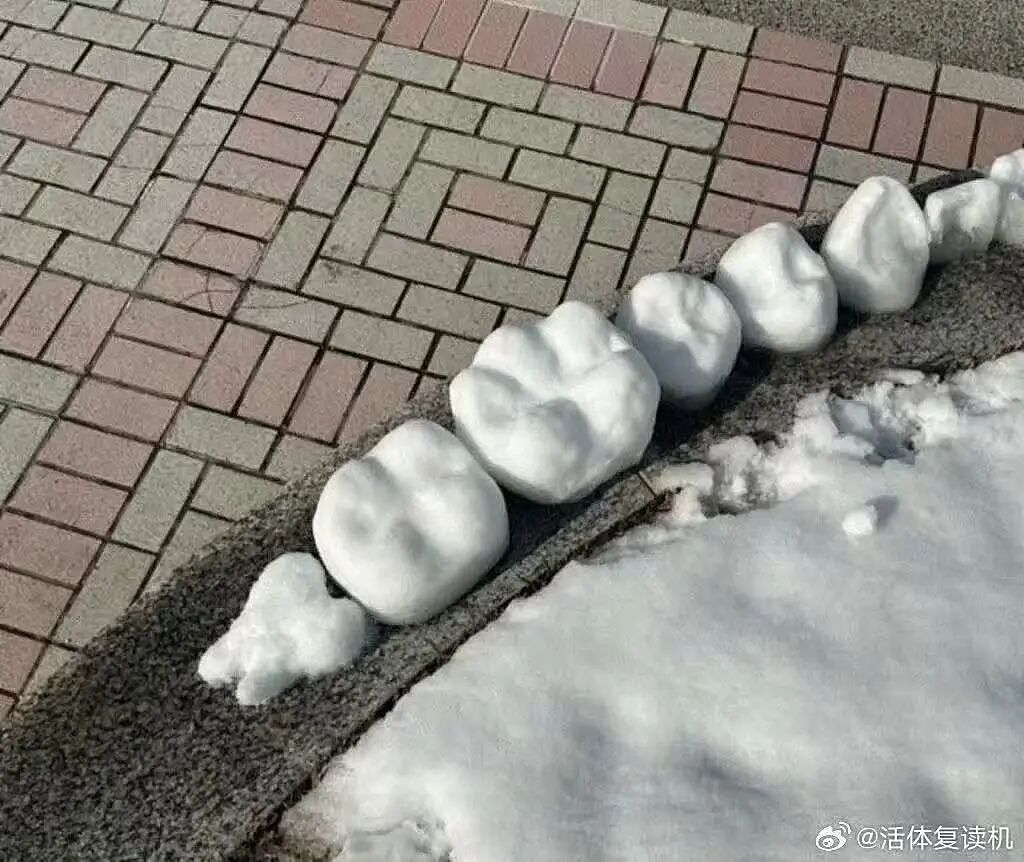 【爆笑】“公司发出倒闭通知后紧急撤回了…？”哈哈哈直接跑路吧还结什么工资！（组图） - 64