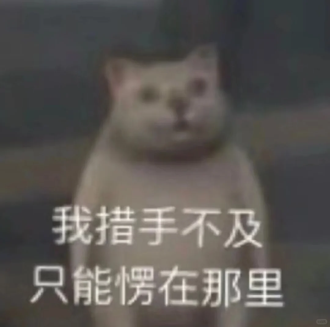 中国姑娘在新加坡公寓打“美容针”后，心脏衰竭身亡（组图） - 4