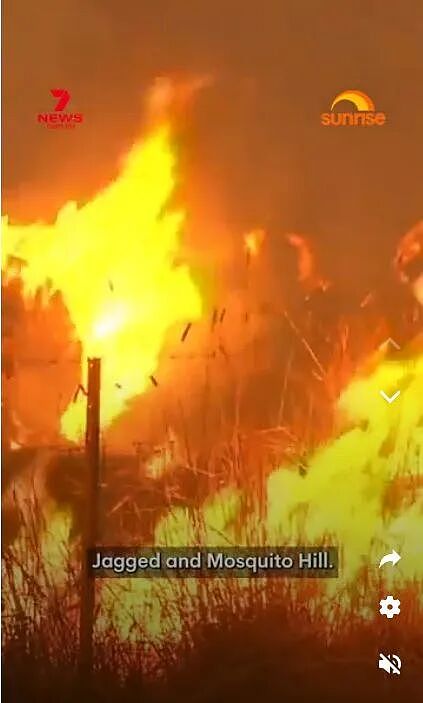 南澳丛林大火失控,火势逼近民宅仅数米,居民紧急撤离,已有住宅被焚毁(组图) - 3