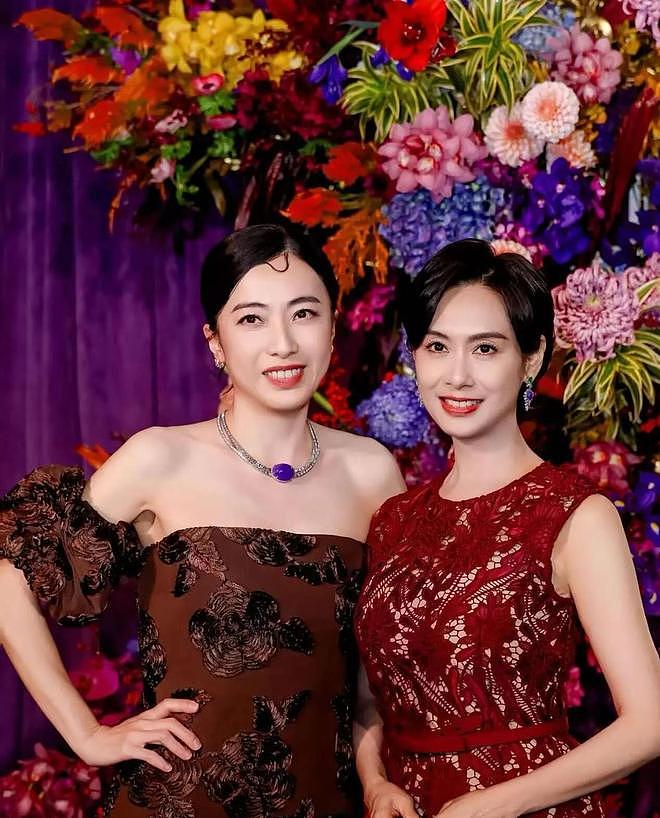 越来越美,甘比戴紫翡翠珠宝艳压朱茵,实力演绎财气养人!(组图) - 5