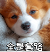 中国姑娘在新加坡公寓打“美容针”后，心脏衰竭身亡（组图） - 13