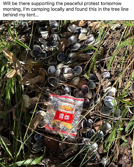 “华人被针对了!”新西兰爆发抗议,抵制“掠夺式赶海”,小红书“赶海贴”成证据(组图) - 44