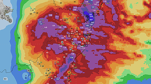 悉尼出现五百年一遇罕见暴雨，周边地区1.9万次雷击！多地发布洪水预警（组图） - 1