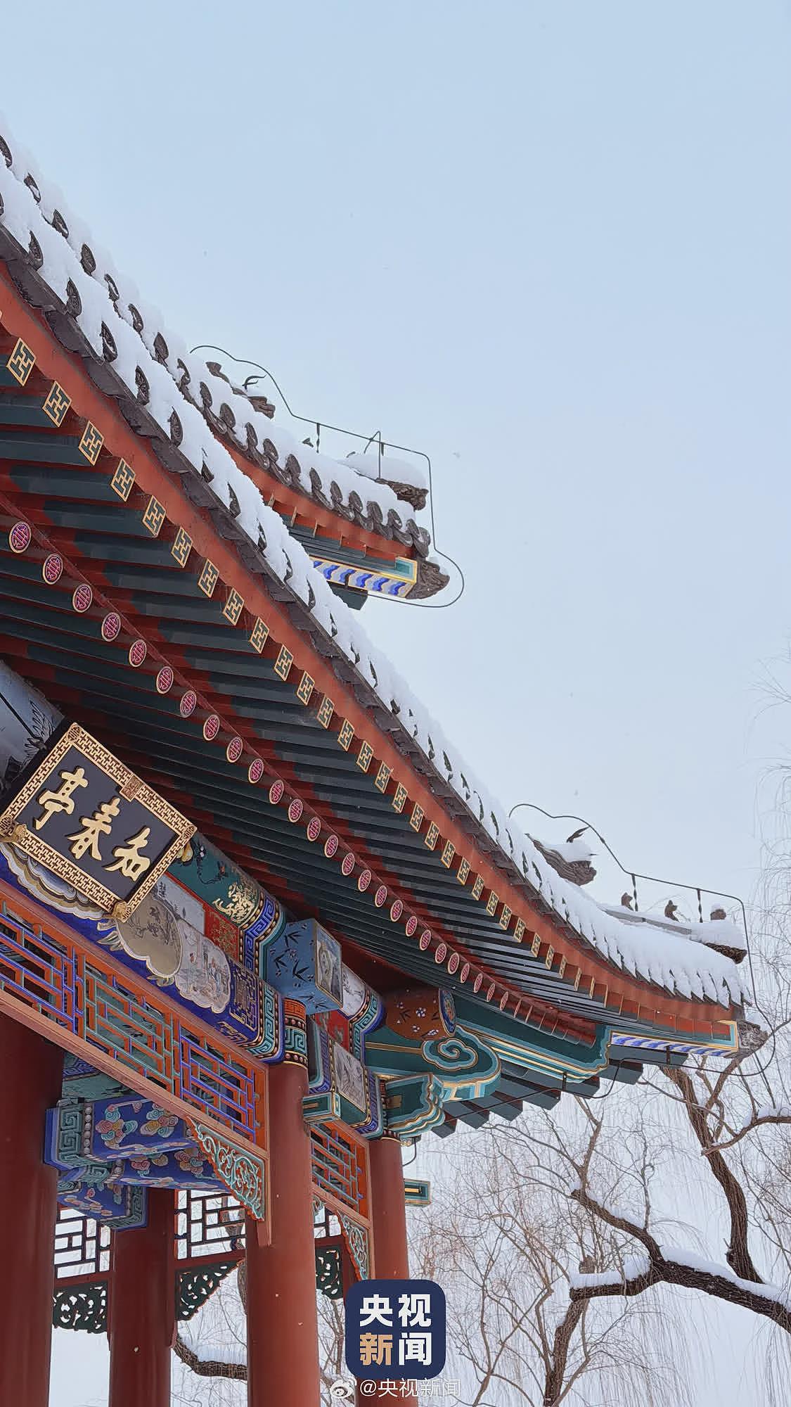 北京下起2026年第一场雪，颐和园美成了国画（组图） - 3
