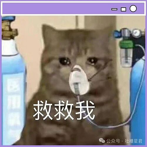 【爆笑】“公司发出倒闭通知后紧急撤回了…？”哈哈哈直接跑路吧还结什么工资！（组图） - 3