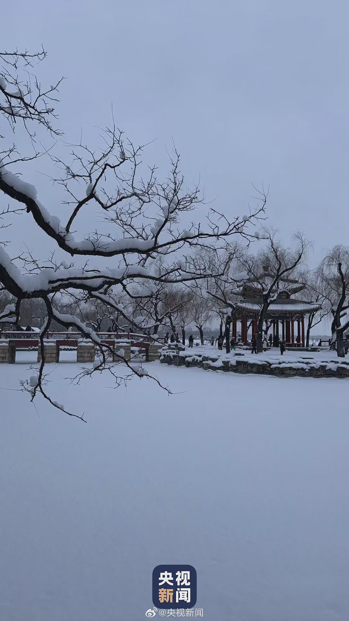 北京下起2026年第一场雪，颐和园美成了国画（组图） - 9