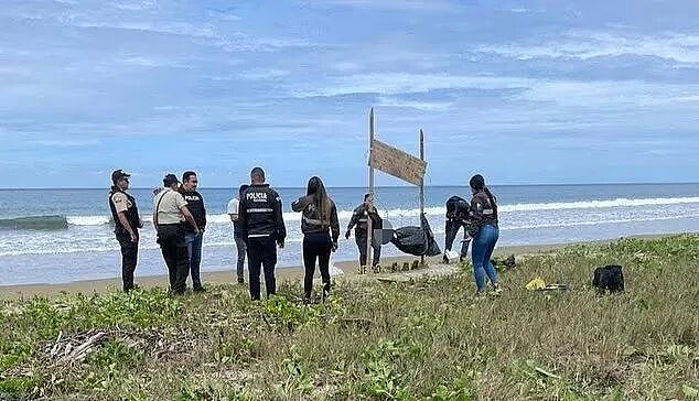 恐怖！热门度假海滩挂出5颗人头，公开示众，警告牌曝光！帮派火拼失控（组图） - 4