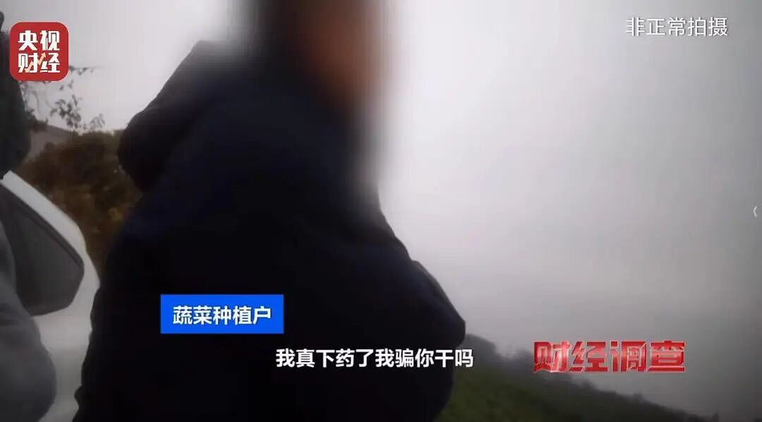 央视曝光湖北菜商违规使用含毒农药，村民：味道大受不了，只有晚上打药，我们基本都不吃（组图） - 6