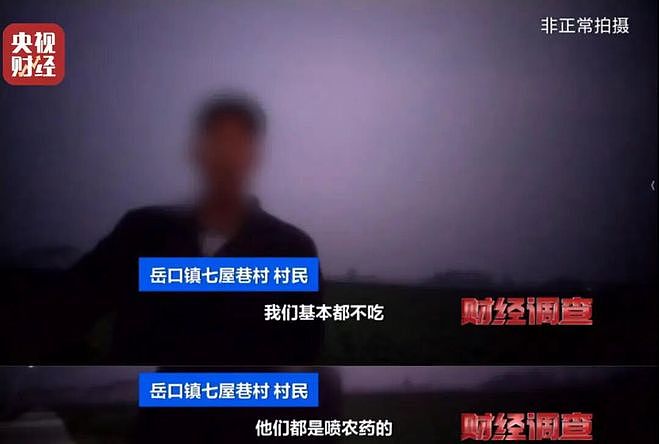 央视揭菜商使用含毒农药,村民:自己根本不吃这些蔬菜(组图) - 5