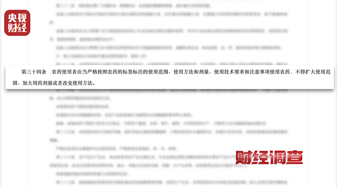 最新曝光,已禁产的含毒农药仍被偷偷生产和使用!当地村民:根本不吃这里的蔬菜(组图) - 8