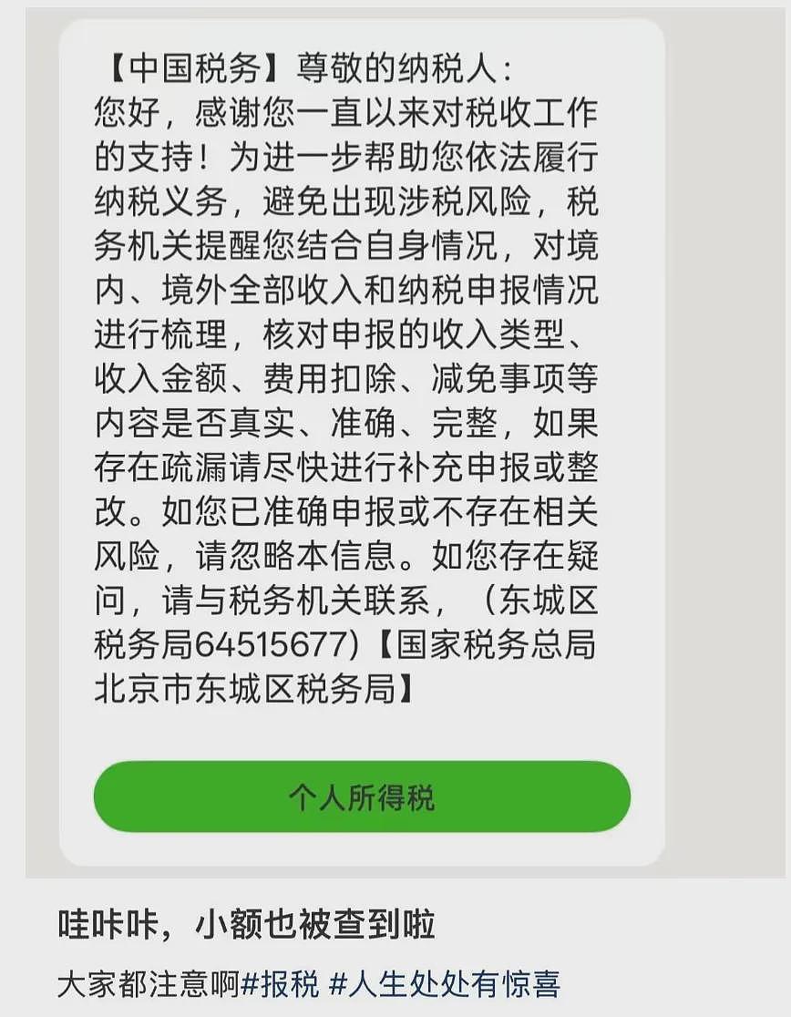 海外华人收入被严查，可追溯至9年前！多名网友接到补税短信（组图） - 4