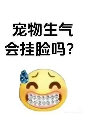 【爆笑】“童年的密码锁防住了长大的自己…?”啊啊啊老己是我啊快开门(组图) - 31