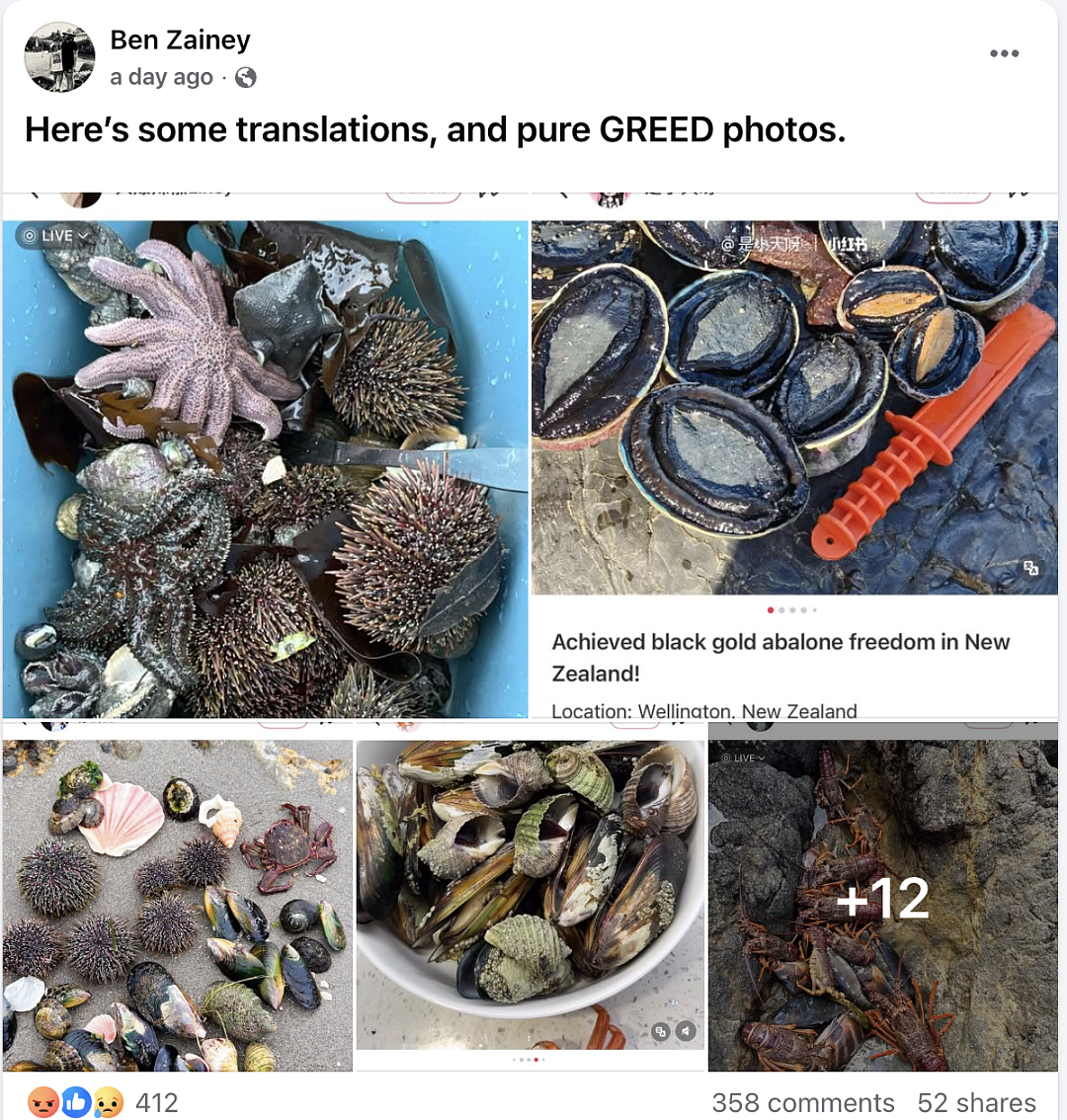 “华人被针对了!”新西兰爆发抗议,抵制“掠夺式赶海”,小红书“赶海贴”成证据(组图) - 17