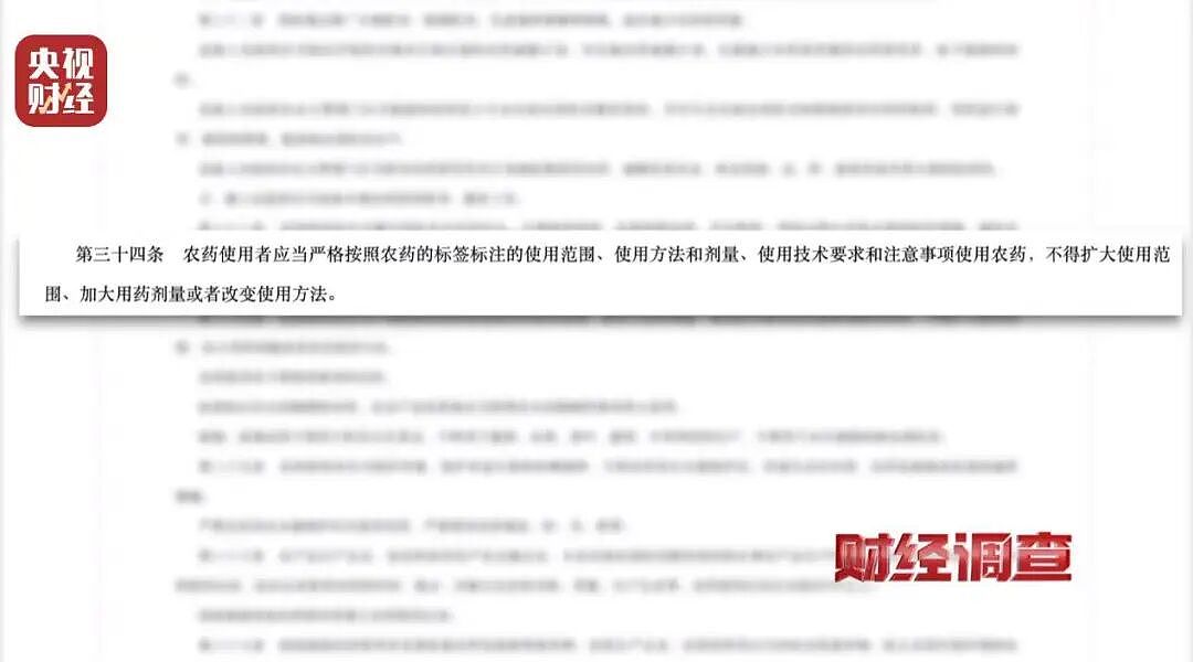 央视曝光湖北菜商违规使用含毒农药，村民：味道大受不了，只有晚上打药，我们基本都不吃（组图） - 9